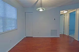 4207 Winding Moss Trail, Tampa, FL 33613 - Photo 8