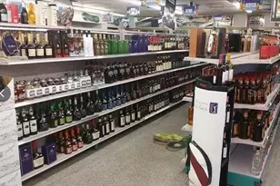 503 Alt 19 Hwy, Palm Harbor, FL 34683 - Photo 2