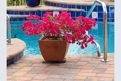 11532 Bathgate Court, New Port Richey, FL 34654 - Photo 44