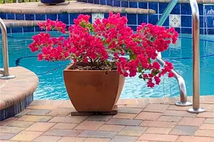 11532 Bathgate Ct, New Port Richey, FL 34654 - Photo 44