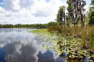 11532 Bathgate Ct, New Port Richey, FL 34654 - Photo 62