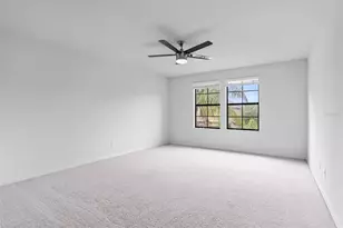 19433 Whispering Brook Dr, Tampa, FL 33647 - Photo 46