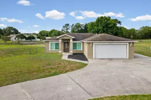 31706 Hunt Club Ln, Wesley Chapel, FL 33543 - Photo 2