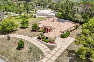 9460 Bearfoot Trail, Weeki Wachee, FL 34613 - Photo 4