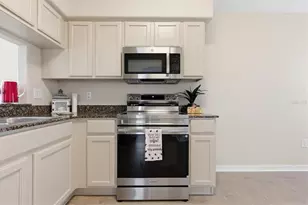 25831 Syme Ct, Land O Lakes, FL 34639 - Photo 6