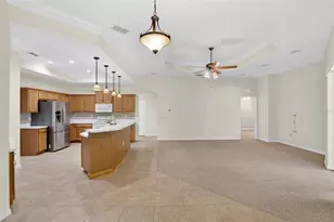 21234 Tangor Rd, Land O Lakes, FL 34637 - Photo 14