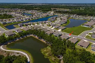 11423 61st St E, Parrish, FL 34219 - Photo 54