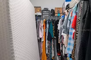 17222 Holly Wl Ave, Wimauma, FL 33598 - Photo 10