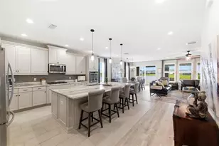 28707 Revaro Ln, Wesley Chapel, FL 33543 - Photo 8