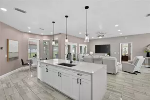 21865 Ocean Pines Dr, Land O Lakes, FL 34639 - Photo 6