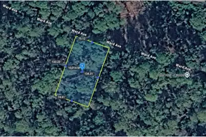 211 Ward Avenue, Crescent City, FL 32112 - Photo 8