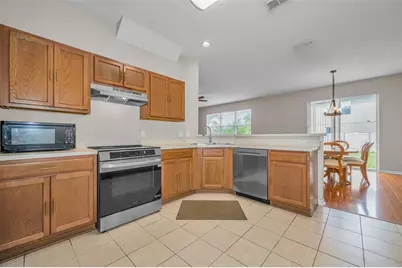 17539 Balmaha Drive, Land O Lakes, FL 34638 - Photo 14