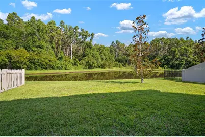 1653 Ludington Avenue, Wesley Chapel, FL 33543 - Photo 50