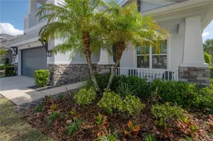 8009 Clementine Ln, Tampa, FL 33625 - Photo 72