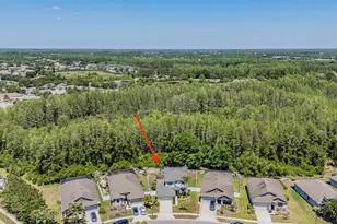19545 Post Island Loop, Land O Lakes, FL 34638 - Photo 42