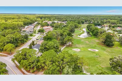 12912 Starling Drive, Odessa, FL 33556 - Photo 80