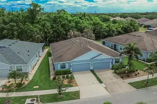 7418 Surrey Pines Dr, Apollo Beach, FL 33572 - Photo 50