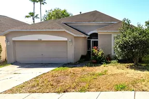 22836 Marsh Wren Dr, Land O Lakes, FL 34639 - Photo 1