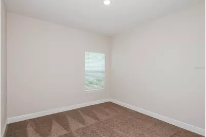 9886 Annunciation Drive, Wesley Chapel, FL 33545 - Photo 20