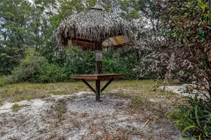 9641 Fulton Ave, Hudson, FL 34667 - Photo 48