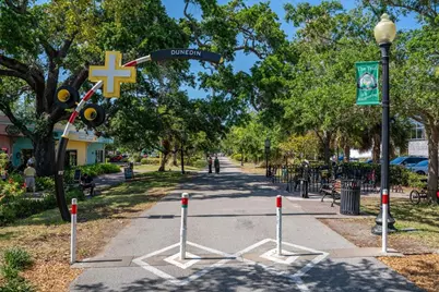 1607 Amberlea Drive S, Dunedin, FL 34698 - Photo 52