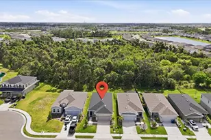 8728 Starry Night Ter, Parrish, FL 34219 - Photo 34