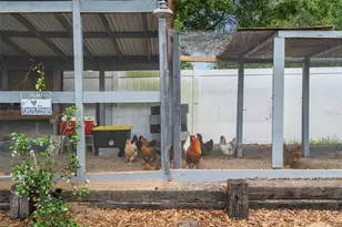 6702 Josie Dr, Seffner, FL 33584 - Photo 42