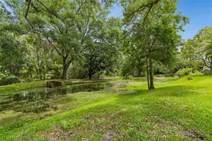3040 Turtle Brooke, Clearwater, FL 33761 - Photo 96