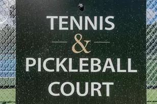 3216 Harvest Moon Dr, Palm Harbor, FL 34683 - Photo 88