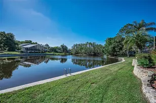 3216 Harvest Moon Dr, Palm Harbor, FL 34683 - Photo 58
