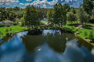 3216 Harvest Moon Dr, Palm Harbor, FL 34683 - Photo 94