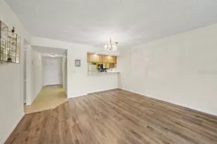 172 Lakeview Way, Oldsmar, FL 34677 - Photo 8