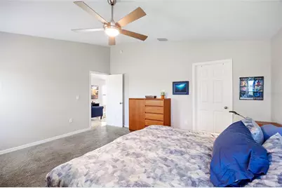 34308 Verbena Street, Wesley Chapel, FL 33545 - Photo 18