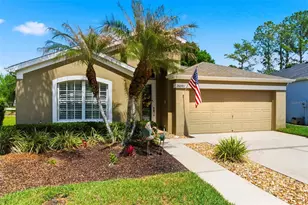 26645 Sea Hero Cir, Wesley Chapel, FL 33544 - Photo 1