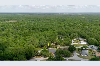 5402 Swallow Drive, Land O Lakes, FL 34639 - Photo 42