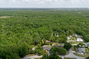 5402 Swallow Dr, Land O Lakes, FL 34639 - Photo 42