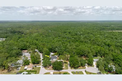 5402 Swallow Drive, Land O Lakes, FL 34639 - Photo 44