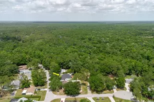 5402 Swallow Dr, Land O Lakes, FL 34639 - Photo 44