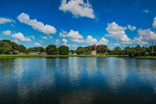 7101 13th St N, Saint Petersburg, FL 33702 - Photo 46