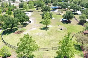 18071 Fenders Wy, Land O Lakes, FL 34638 - Photo 82