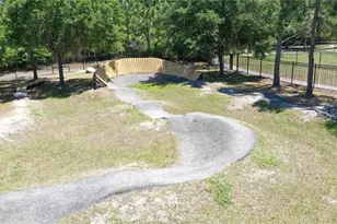 18071 Fenders Wy, Land O Lakes, FL 34638 - Photo 84
