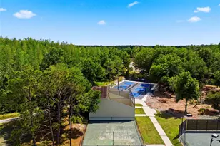 9207 Meadow Ln Ct, Tampa, FL 33647 - Photo 86