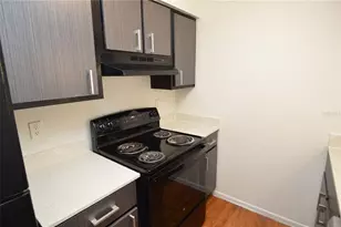 8425 Cerro Cir, Tampa, FL 33617 - Photo 12