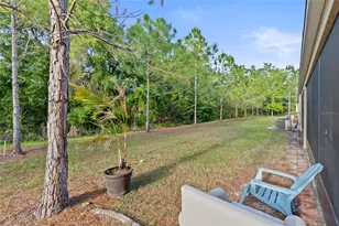 9718 Hound Chase Dr, Gibsonton, FL 33534 - Photo 32