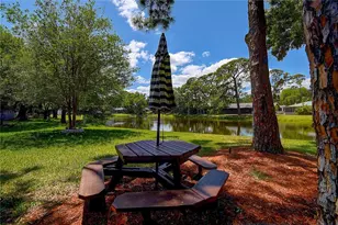 13920 Egret Ln, Clearwater, FL 33762 - Photo 36