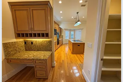 441 Lucerne Avenue, Tampa, FL 33606 - Photo 32