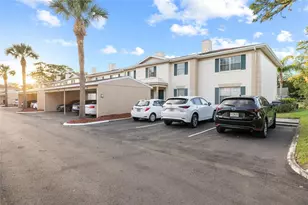 3402 Latania Dr, Tampa, FL 33618 - Photo 4