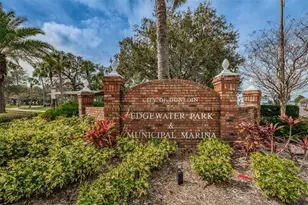 253 Park Cir S, Dunedin, FL 34698 - Photo 56