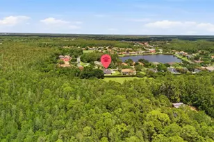 18629 Avenue Capri, Lutz, FL 33558 - Photo 50