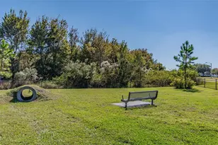 10495 Gliding Eagle Wy, Land O Lakes, FL 34638 - Photo 66